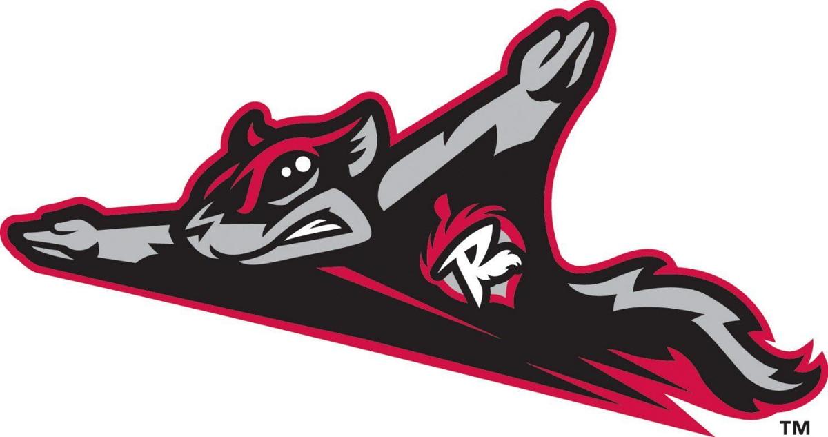 Image result for richmond flying squirrels logo