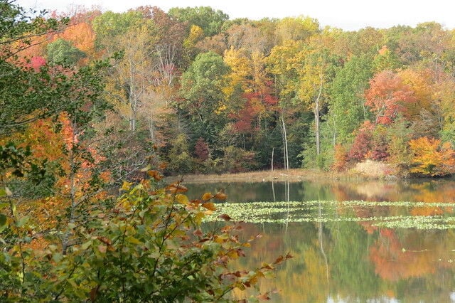 Fall on the East Coast