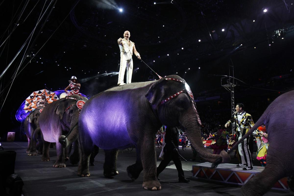 PHOTOS Ringling Bros. and Barnum & Bailey circus in Richmond