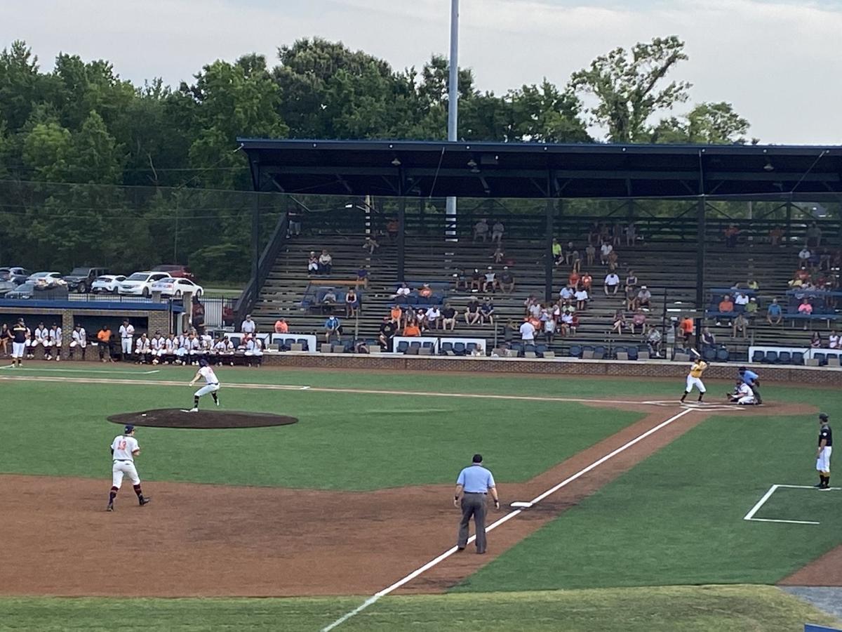 Teel Coastal Plain League draws top baseball talent eager for any