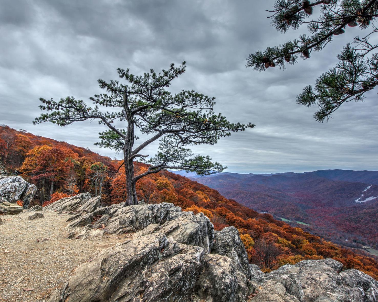 PHOTOS 125 photos from Scenic Virginia Travel