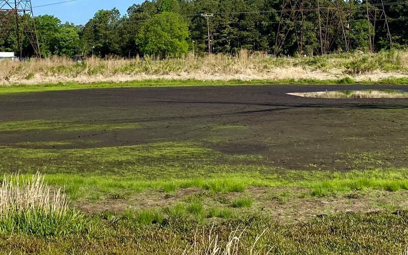 Drought and Aquatic Wildlife