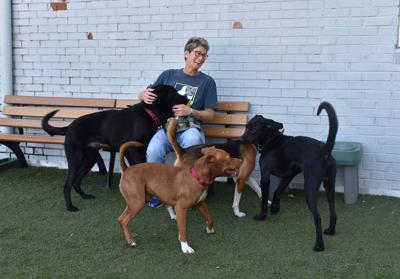 How Does This Busy Animal Rescue Get By With Just 4 Full Time