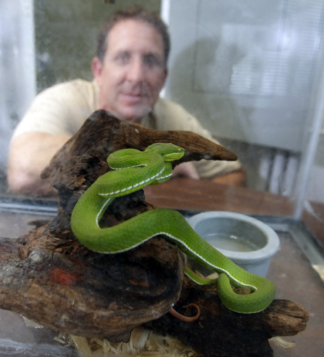 Venomous Snakes in Chesterfield | Outdoors | richmond.com