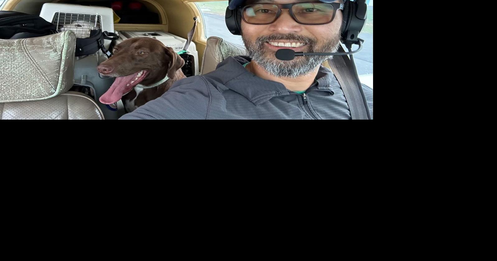An animal-rescue pilot died in a crash. 2 dogs aboard are recovering
