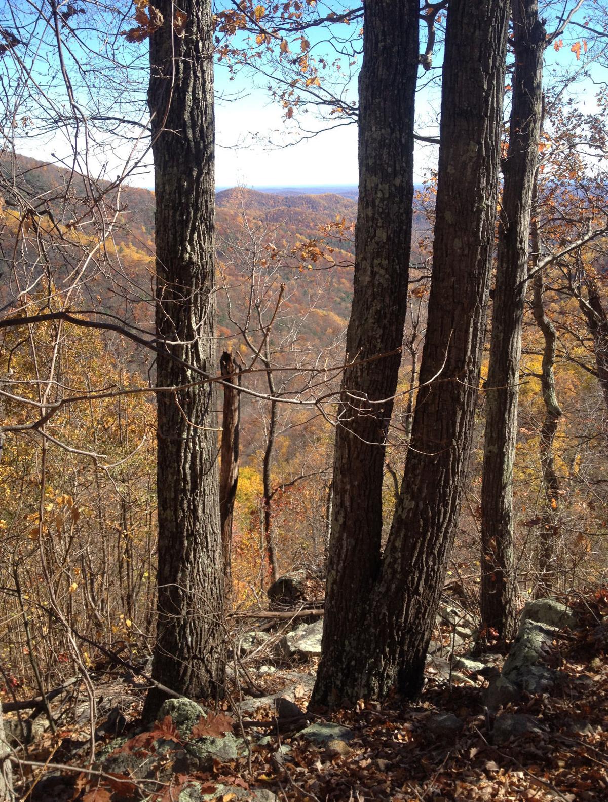 The Paths Less Traveled From Old Rag Discover Richmond