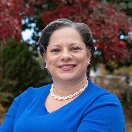 VA McClellan faces GOP Moher in 4th House District