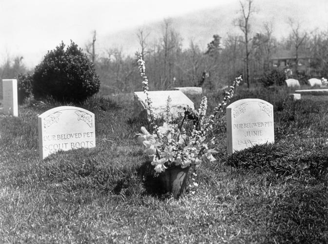 From the Archives Richmond's oldest pet cemetery, an update