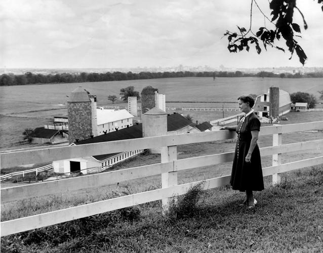 Tree Hill Farm