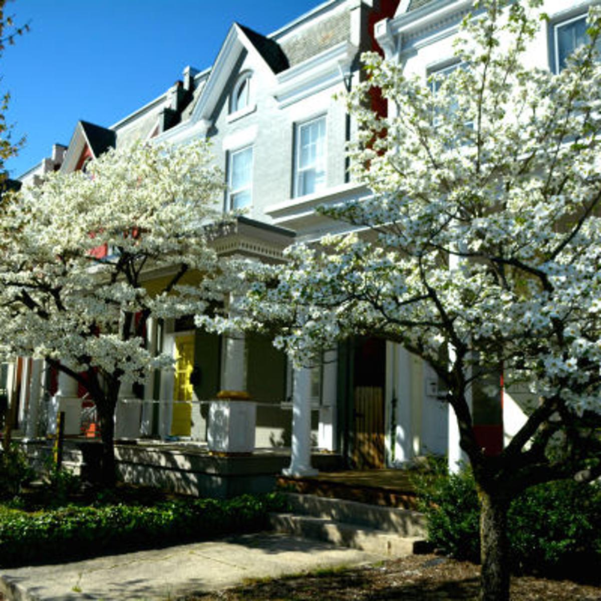 10 Differences Between Living In The Fan And The Near West End Richmond Com 10 Differences Between Living In The Fan And The Near West End Richmond Com