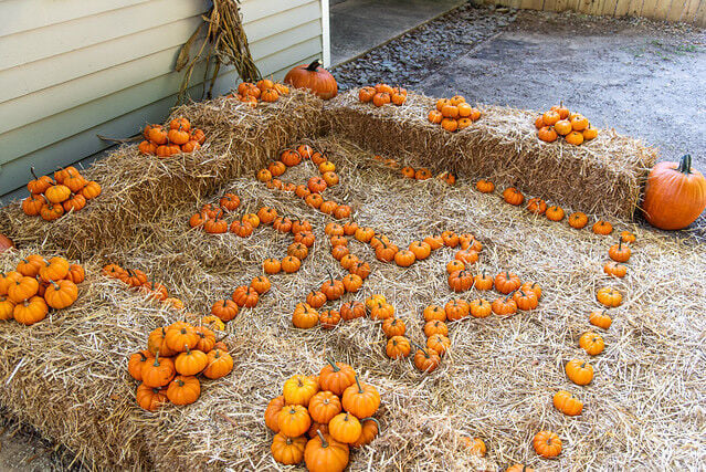 15 fall festivities at Virginia State Parks