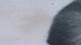 Reynolds Audrey Obituaries Richmond Com