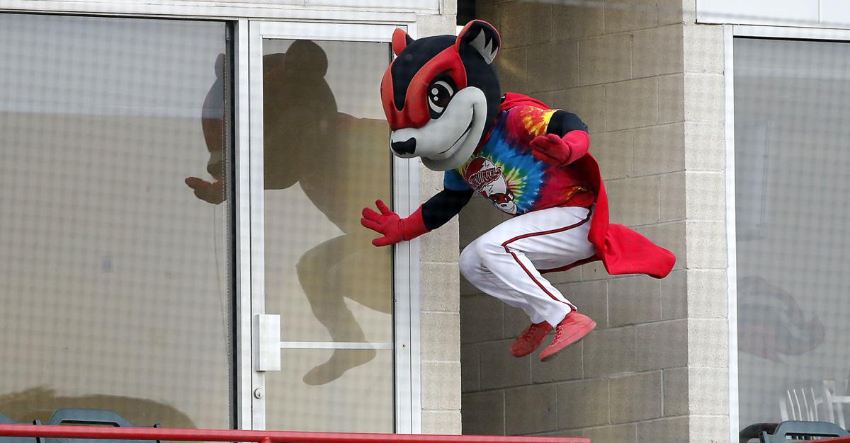 Nutzy Flying Squirrels Speechless Perpetually Grinning Agent