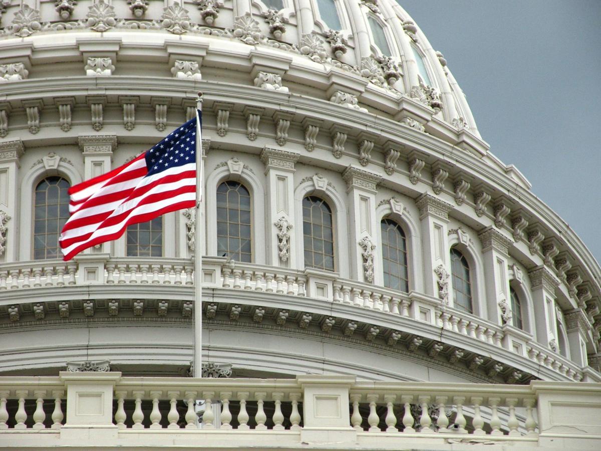 United States Capitol detail