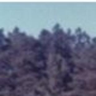 Abernathy Francis Obituaries Richmond Com