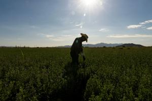 USA-ENVIRONMENT/DROUGHT