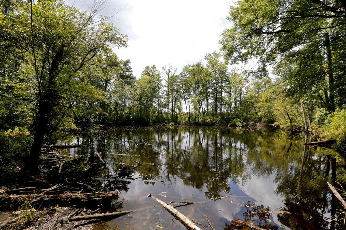 PHOTOS Home on the farm at Chickahominy Falls