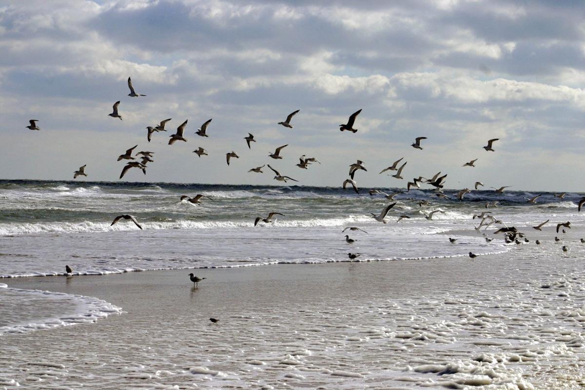 Five great camping spots in Virginia Outdoors