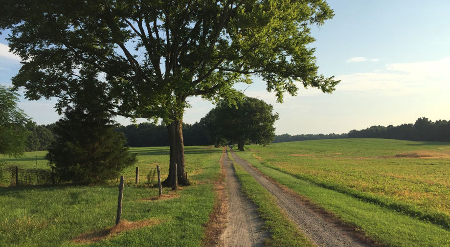 Historic Malvern Hill Farm in Henrico hits market for 10.6 million Local