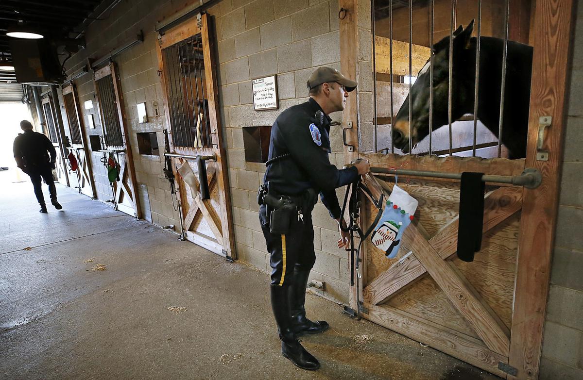 Richmond police horse barn, at a cost of 1.5 million, gets its first