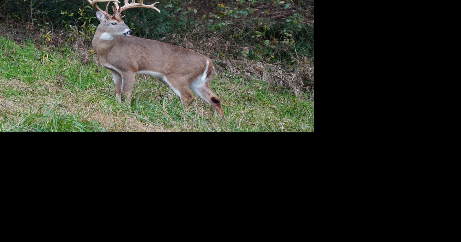 Data Centers and Sticky Rice
