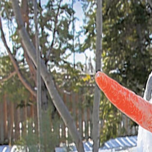 Winter Wonderland Trivia Countdown To Christmas Richmond Com