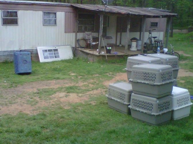 Dogfighting ring busted in Halifax County