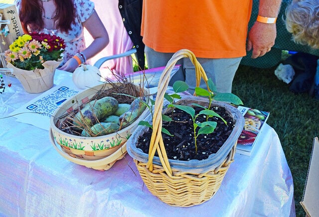 15 fall festivities at Virginia State Parks