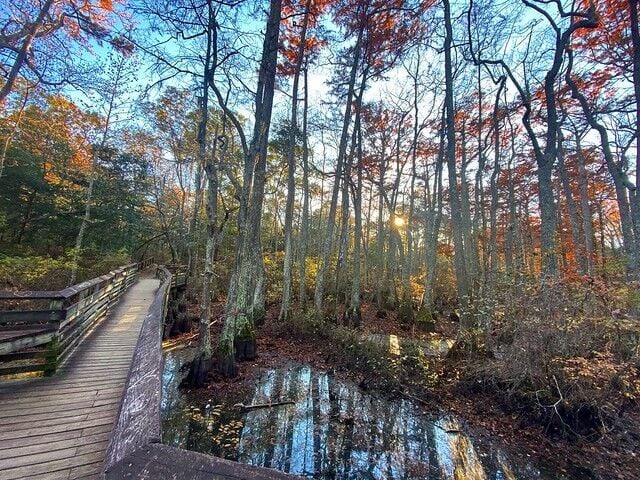 Fall on the East Coast