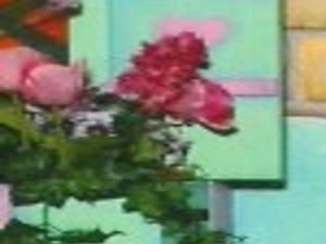 Easter Bunny Photos Entertainment Richmond Com