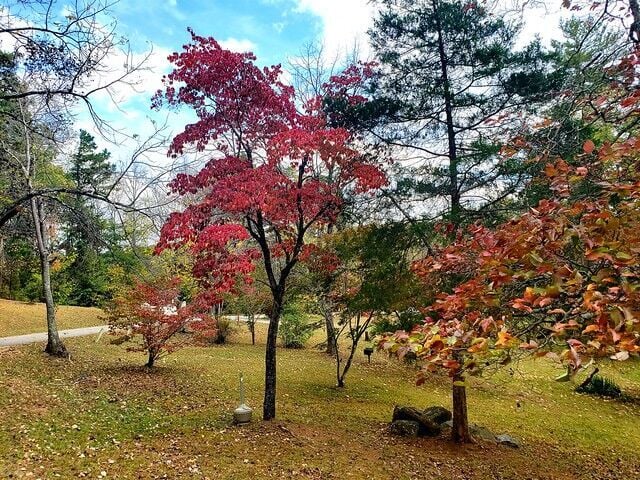 Fall at the Farmville 5