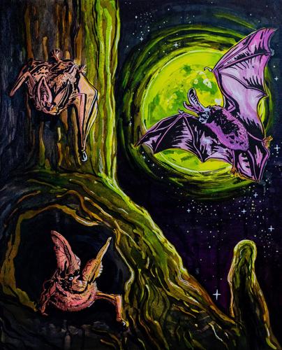 Winners of 2026 Restore the Wild Artwork Competition Chosen