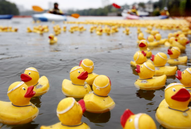 charity rubber ducks