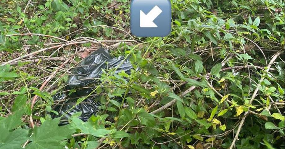 Dead dog found in garbage bag near Richmond hiking trail