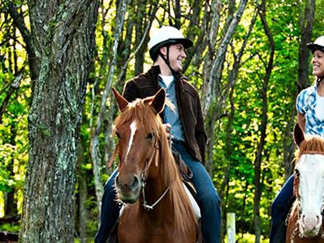 Virginia Trail Riding Top Spots To See The State On Horseback Richmond Com