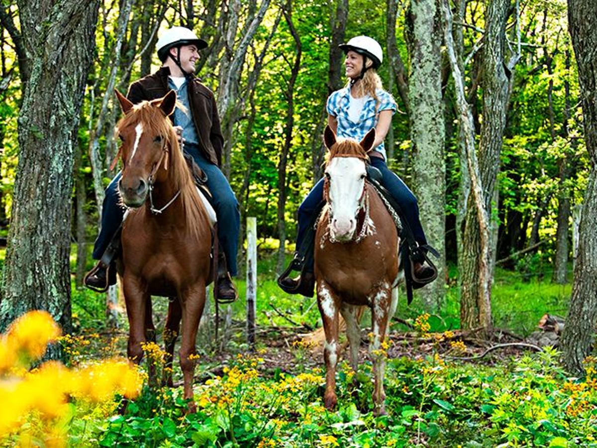 Virginia Trail Riding Top Spots To See The State On Horseback Richmond Com