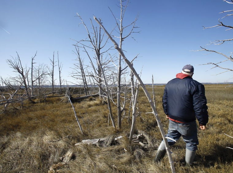 Ghost' wild areas haunt Chesapeake Bay region