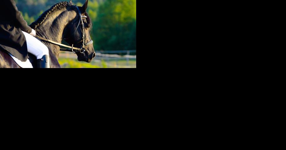 Two arrested and charged in shooting of horse - Vimarsana News