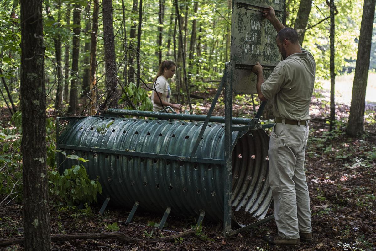 Virginia Game Department Uses Sweets To Trap Collar Bears In Buckingham Virginia Richmond Com