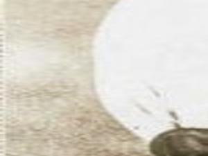 Nonfiction Review Great Soul Entertainment Richmond Com Mahatma gandhi jayanti quotes, speech, poems, essay, kavita, nibandh in hindi and english: