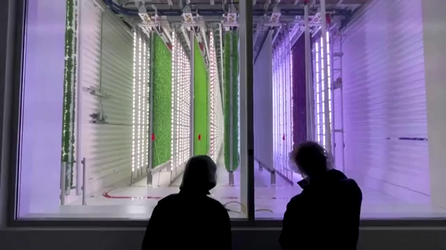 Vertical farm gets $400 million boost from Walmart