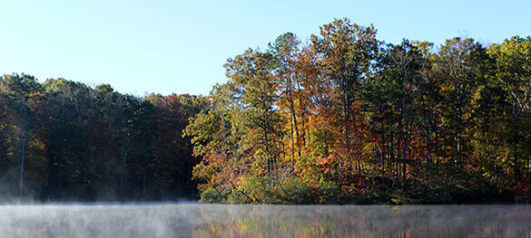 Fall foliage at Virginia State Parks: Peak periods by region