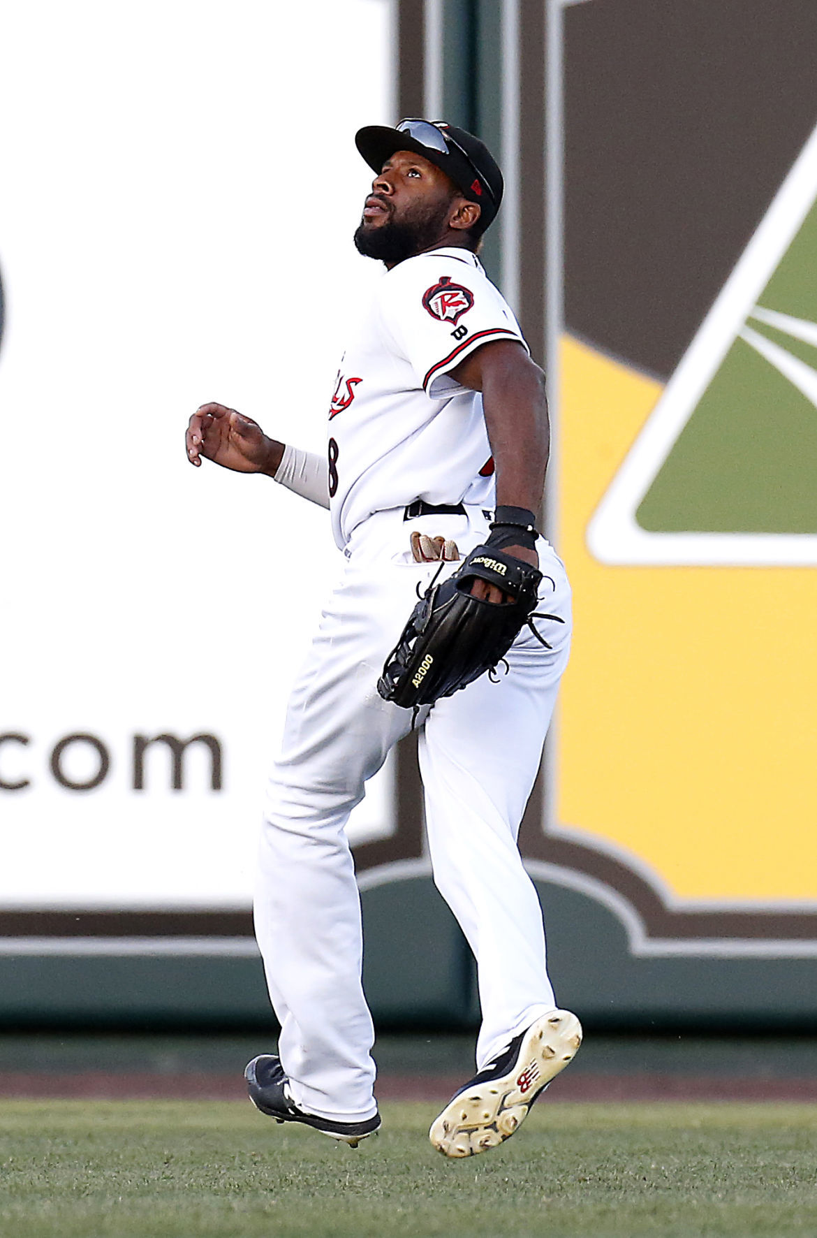Baseball lineage runs deep for new Flying Squirrel C.J. McElroy