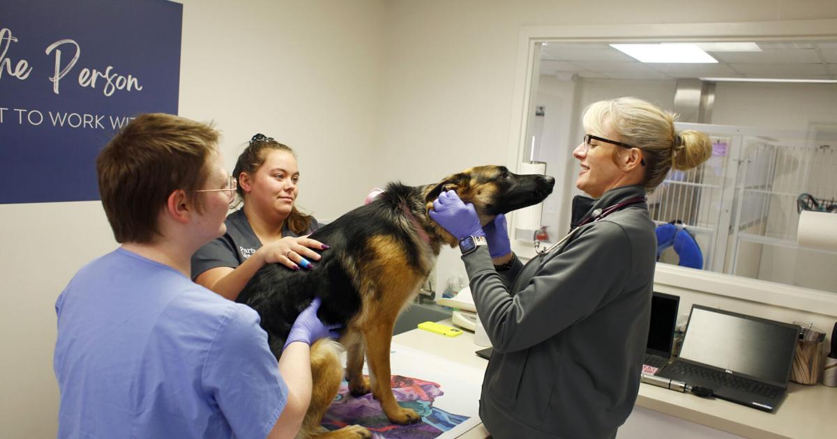 Partner Veterinary expanding into 24-hour care for pets, while also caring for workers