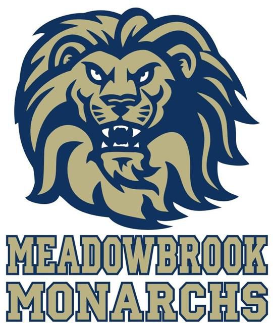 Meadowbrook upsets No. 1 Highland Springs 87 Football