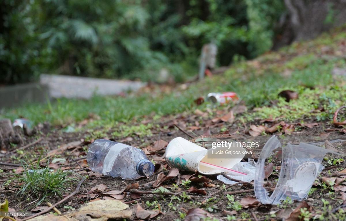 Litter