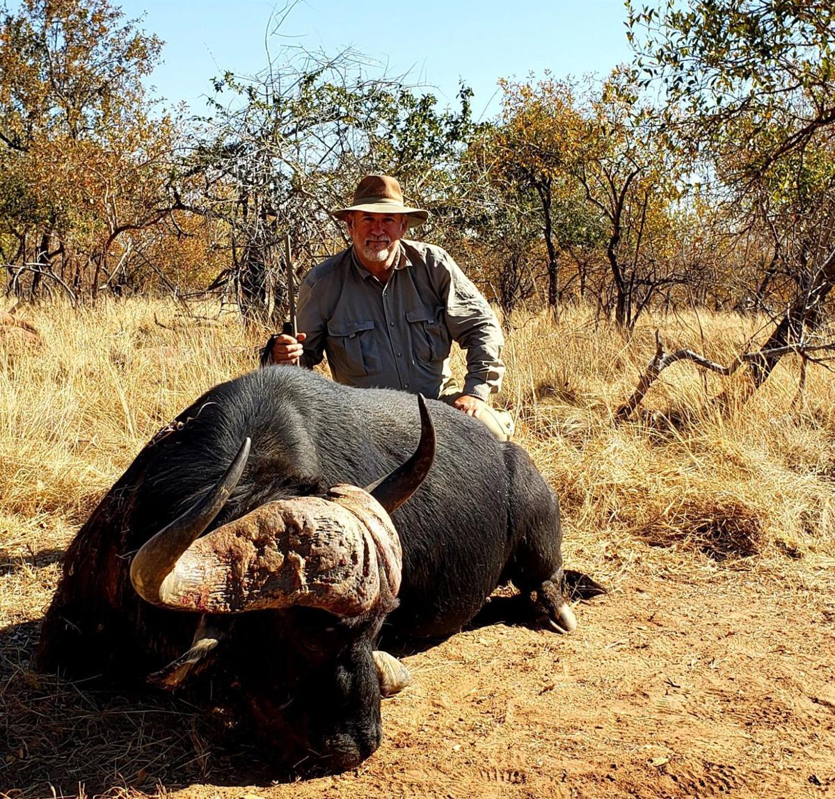 Buffalo