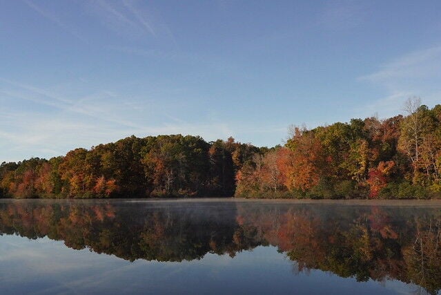 Fall at the Farmville 5