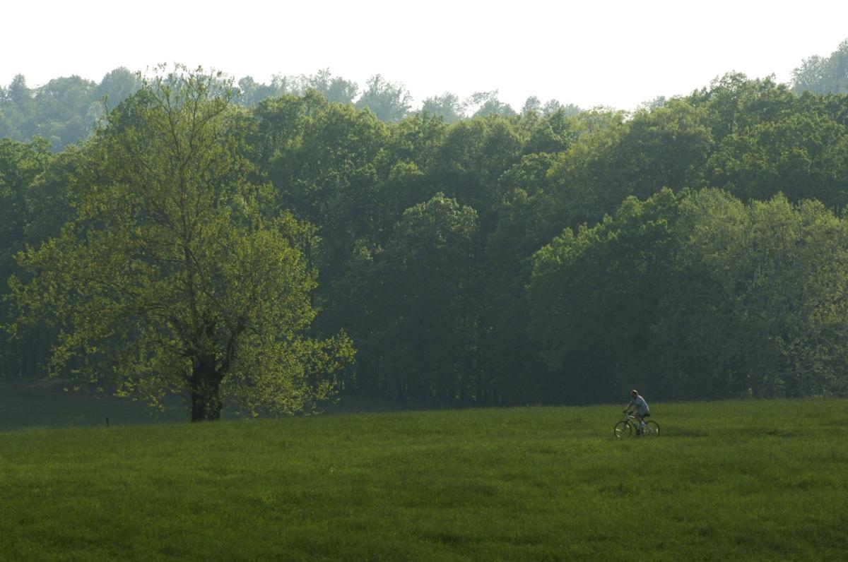 Sweet Briar Supporters Still Have Hope Government Politics - 