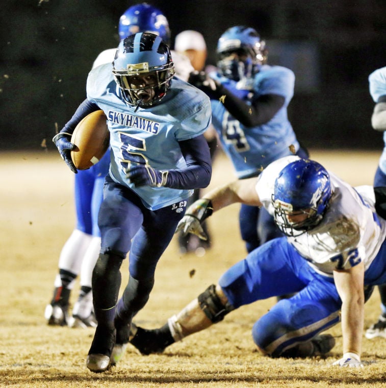 Central Virginia 5A high school football previews | Hermitage ...